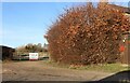 Field entrance on Roxton Road, Chawston