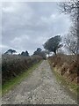 Track towards Ponderosa Ranch