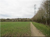 TQ1863 : Public footpath near Chessington by Malc McDonald