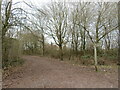 TQ1862 : Paths meet near Chessington by Malc McDonald