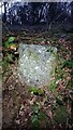 Old Tramway Milestone, Clearbrook