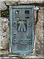 NY9632 : OSBM flush bracket on the trig point on Harnisha Hill by Mike Quinn