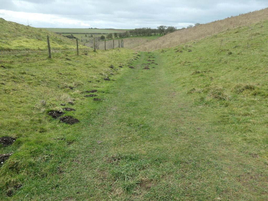 Molehills On The Yorkshire Wolds Way © Christine Johnstone Geograph Britain And Ireland 3248