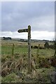 A moss-encrusted fingerpost by Townfoot