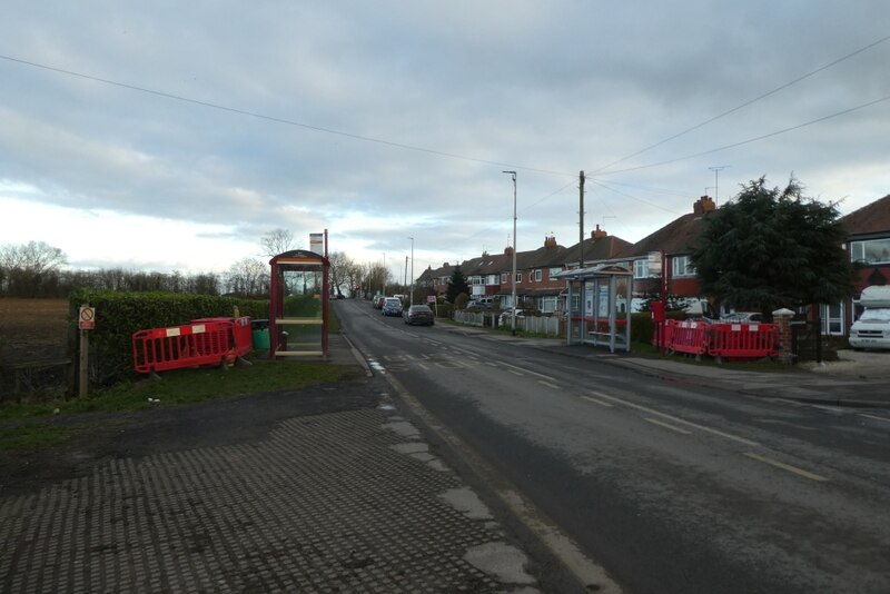 bus-stops-on-park-lane-ds-pugh-geograph-britain-and-ireland