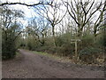 Path near Ashtead