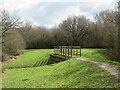 Path over The Rye Brook on Ashtead Common