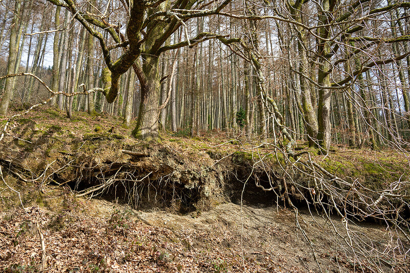 Undercut top soil © John Lucas :: Geograph Britain and Ireland