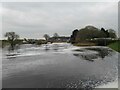 Linton Lock, Weir, Fish Ladder and Hydro Electric Power