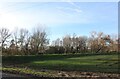 Field by the River Ivel, Blunham