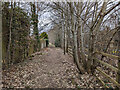 Footpath 82W, Maidenbower, Crawley