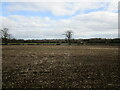 Prepared field near Wanlip