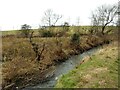 Tributary of the Park Burn