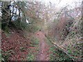 Llwybr cyhoeddus i Heol Goi / Public footpath to Heol Goi