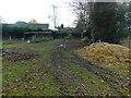 Field, Spilsby Lane