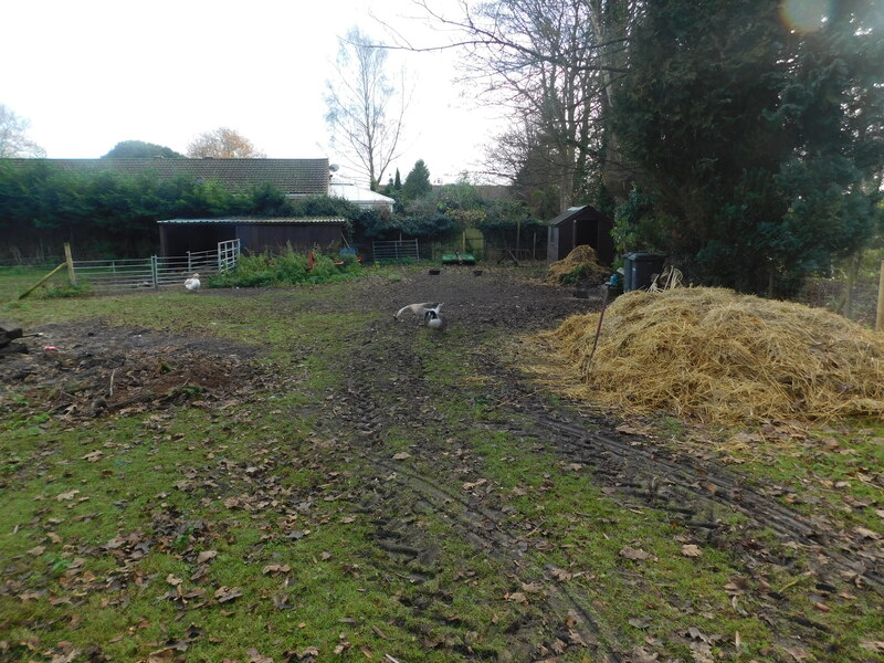 Field, Spilsby Lane © Bryn Holmes :: Geograph Britain And Ireland