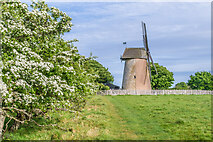SZ6387 : Bembridge Windmill by Ian Capper