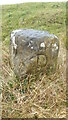 NZ6711 : Old Boundary Marker close to Smeathorns Road by Mike Rayner