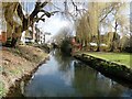 The  Great Stour, Canterbury