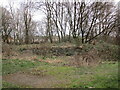 Remains of industrial building, Wolsey Island, Leicester