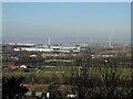 Avonmouth from Penpole