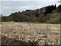 Churnet Valley flood plain