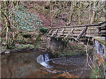 NS6552 : Bridge and snowdrops in Calderglen Country Park by wrobison