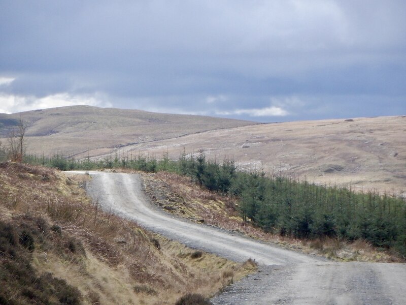 Logging road, Margree Forest © Richard Webb :: Geograph Britain and Ireland