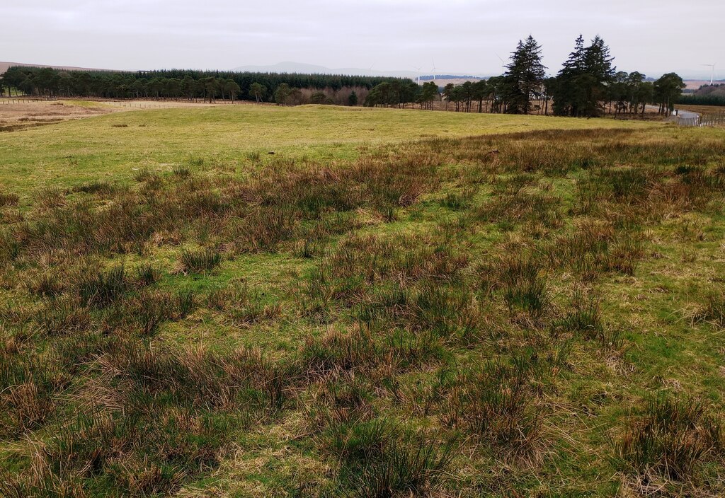 Rough grazing and coniferous plantations © Jim Smillie :: Geograph ...