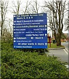 NS5061 : Direction sign, Dykebar Hospital by Richard Sutcliffe