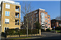 Apartment blocks on Westwood Road