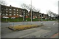 Grassy patch beside the traffic lights