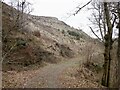 Felled and replanted woodland, Auchengibbert