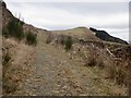 Road beneath Craigturra