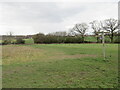 TQ1760 : Footpath across a field near Chessington by Malc McDonald