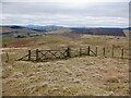 NX8093 : Gate and electric fence, Auchengibbert Hill by Richard Webb