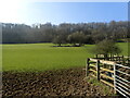 Field in the Marden Valley