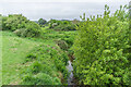 Wroxall Stream