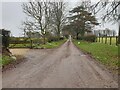 Lane to Cocum Farm