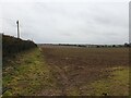 Farmland north of A30