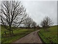 Track to Houghton Down Farm