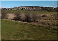 Looking towards Croy