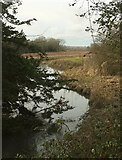 SP2013 : River Windrush by Derek Harper