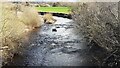 NY4758 : View east along River Irthing from middle of Newby Bridge by Luke Shaw