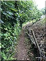 Wales Coast Path dropping down to Ferryside