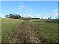 Footpath towards Cambo Burial Ground and Cambo