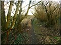 Footpath from Worthing Street to Wyke Lane, Wyke