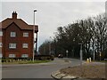 New houses, old trees