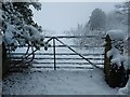 Snowy gate to a field