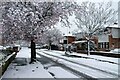 Snow in Woodlands Drive, Chester